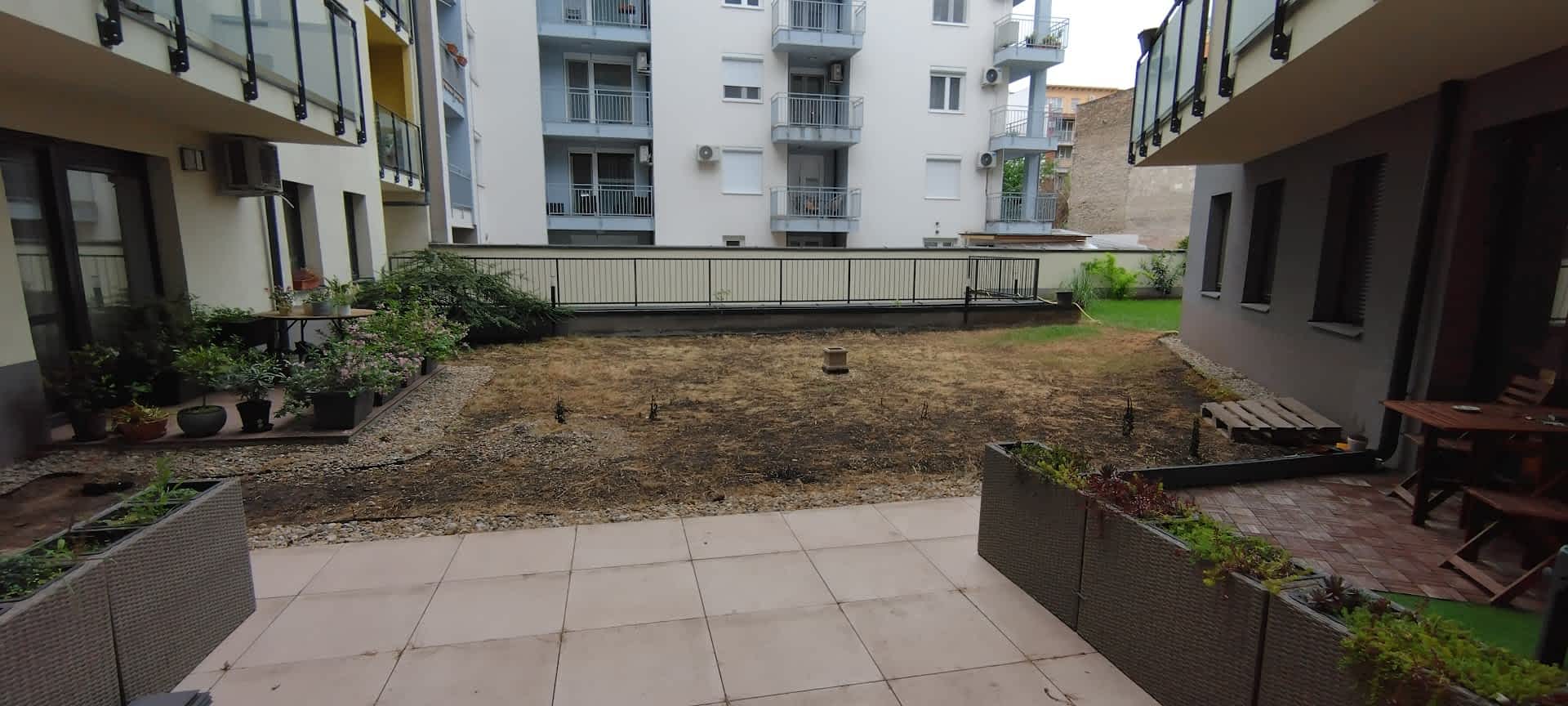 IMG_20240517_115918_MP-optimized